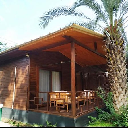 Olympos Yavuz Hotel Çıralı Zewnętrze zdjęcie