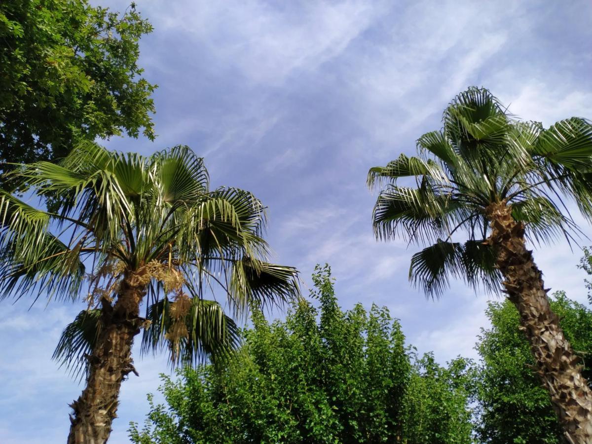 Olympos Yavuz Hotel Çıralı Zewnętrze zdjęcie