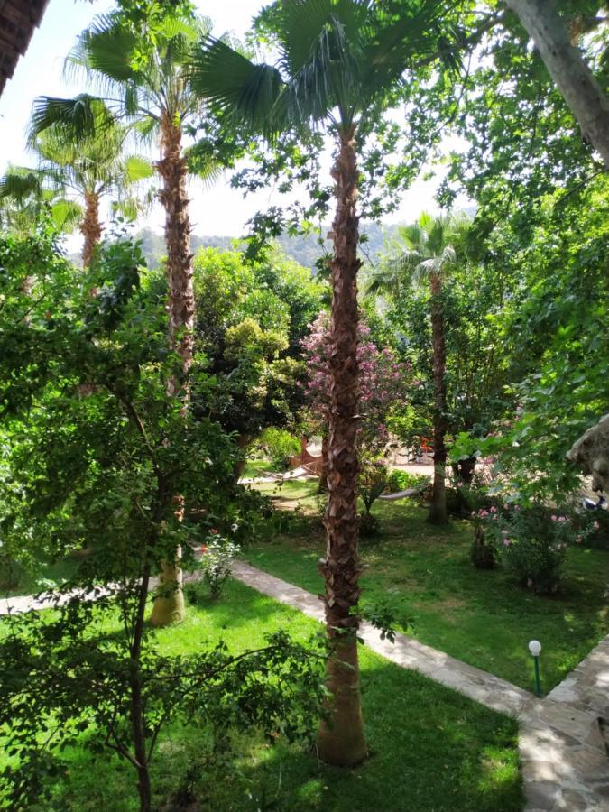 Olympos Yavuz Hotel Çıralı Zewnętrze zdjęcie