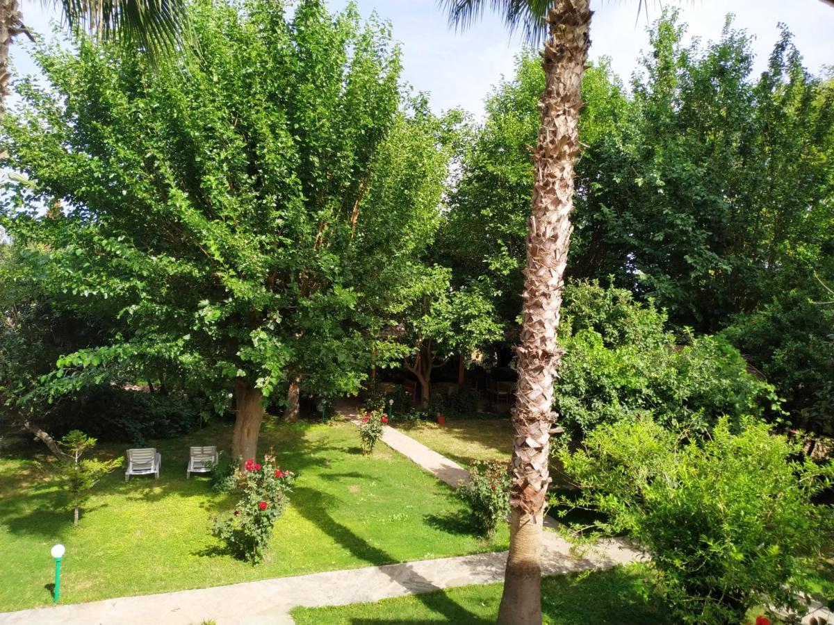 Olympos Yavuz Hotel Çıralı Zewnętrze zdjęcie