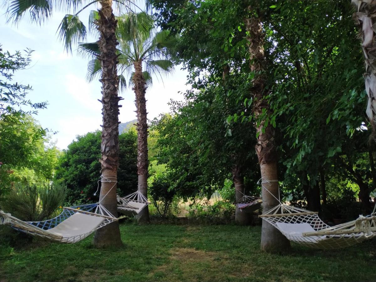 Olympos Yavuz Hotel Çıralı Zewnętrze zdjęcie