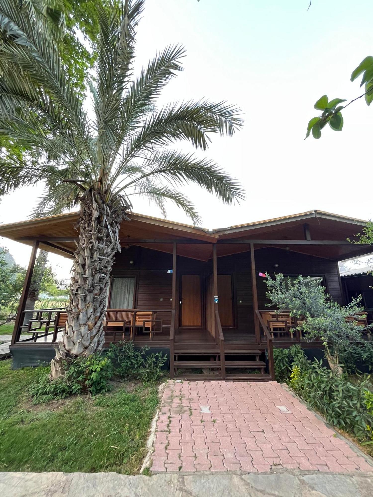 Olympos Yavuz Hotel Çıralı Zewnętrze zdjęcie